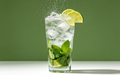 Virgin Mojito